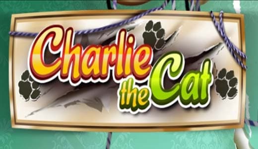 Charlie The Cat