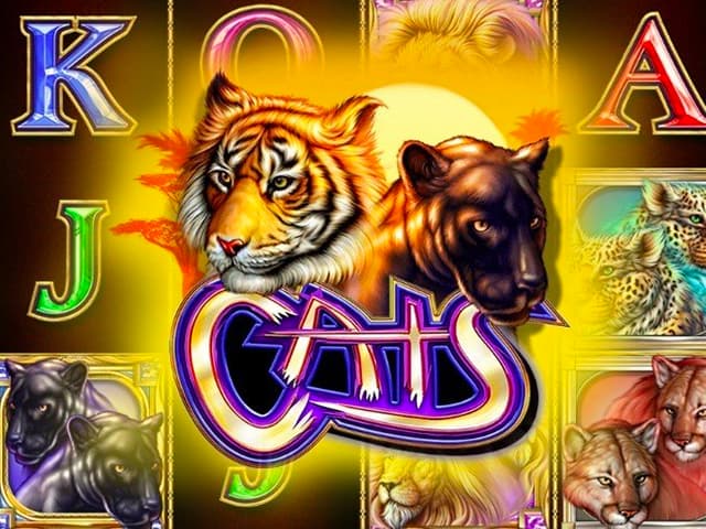 Cats